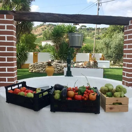 Holiday R. Principal Holiday home Alenquer